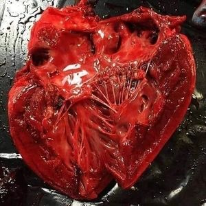 Meet your Posher, Daniell